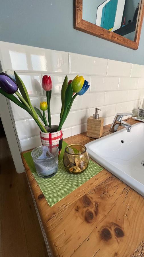 A Casa Di Gia Gia Apartment Bologna Ngoại thất bức ảnh